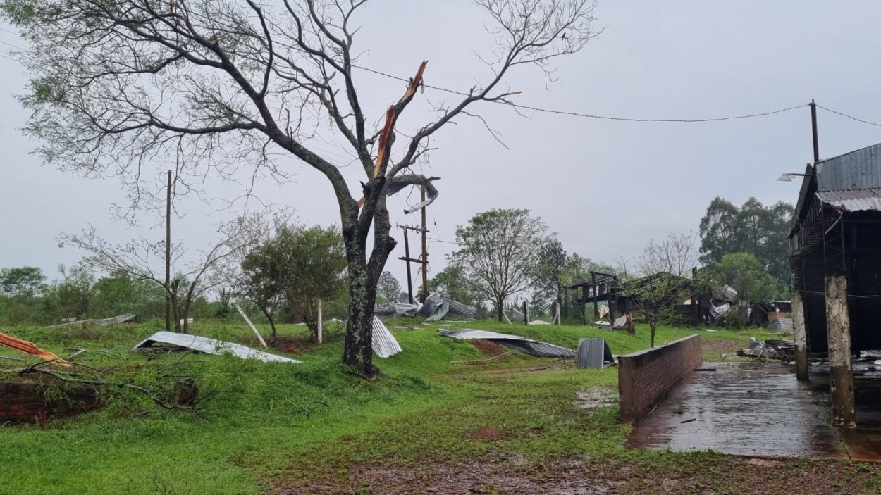 Temporal en Misiones: intensas lluvias, fuerte granizada y árboles caídos en diferentes zonas imagen-14