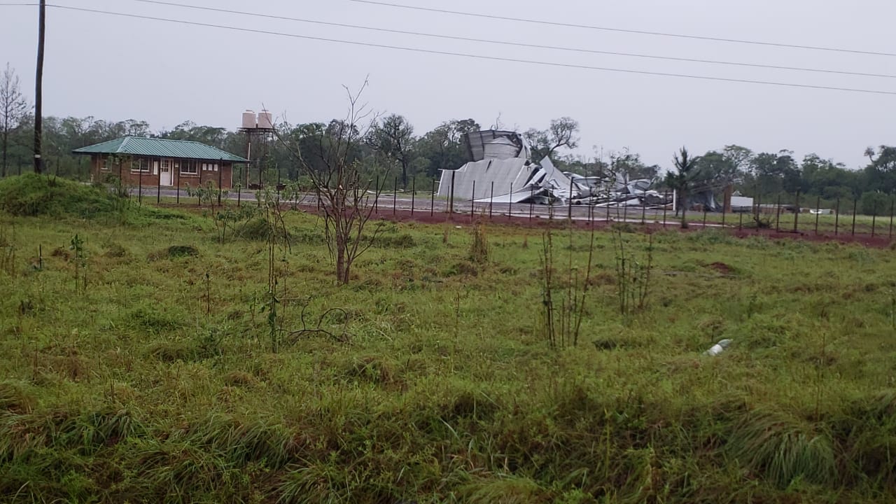 Temporal en Misiones: intensas lluvias, fuerte granizada y árboles caídos en diferentes zonas imagen-8