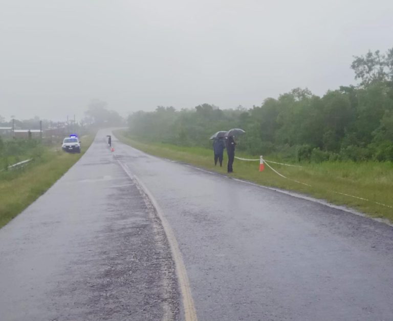 Un motociclista falleció tras despistar en la Ruta Provincial 3 imagen-27