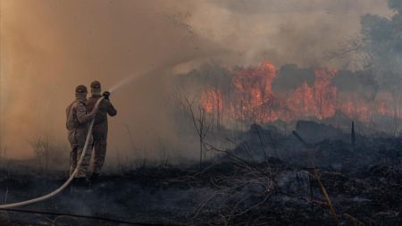 Argentina aumentó la emisión de gases en 2020 por los incendios forestales imagen-6
