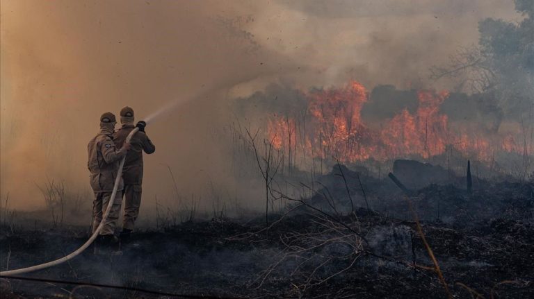 Argentina aumentó la emisión de gases en 2020 por los incendios forestales imagen-31