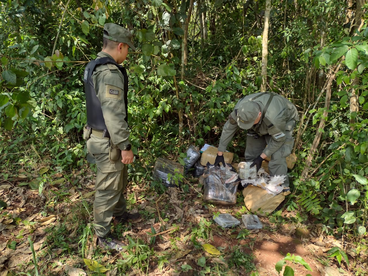 Gendarmes encuentran 251 kilos de marihuana entre la maleza abandonada por narcos cerca del Paraná imagen-1