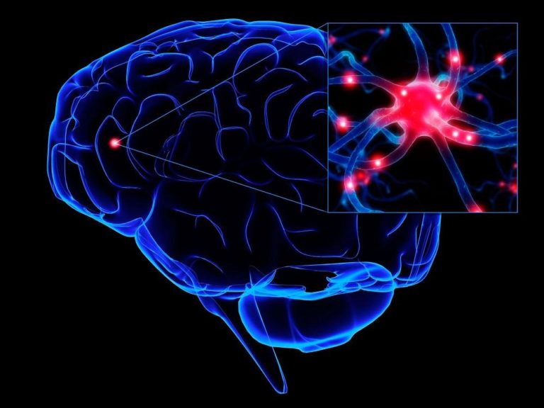 Identifican una molécula que podría mejorar la terapia contra el Parkinson imagen-7