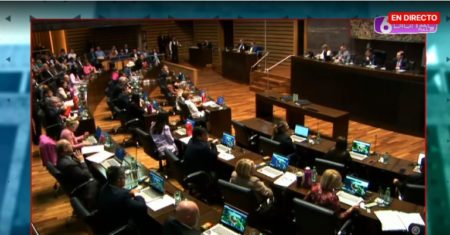 Parlamento misionero aprobó una batería de leyes en su última sesión del año imagen-8