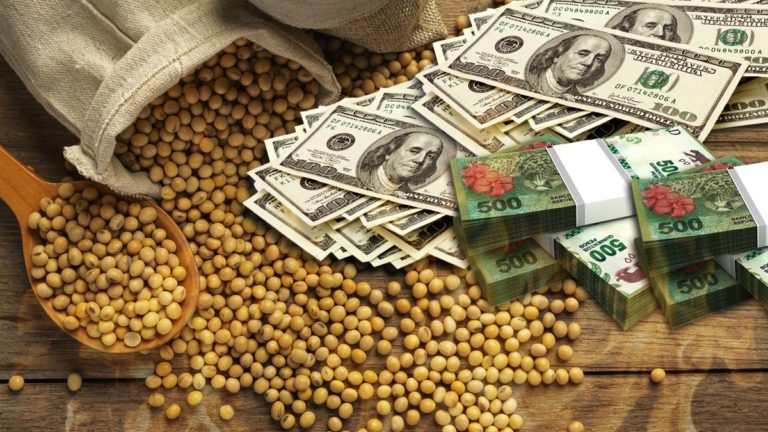 Dólar: estiman que para 2024 exportaciones del agro crecerán en u$s13.000 millones imagen-36