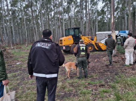 Explotación laboral en Entre Ríos: tres trabajadores de Misiones, uno de ellos menor de edad, cumplían sus tareas en extrema precariedad imagen-9