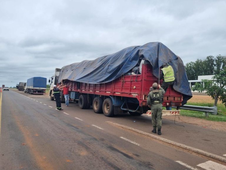 Descubren más de 12 toneladas de caños de cobre entre elementos para reciclaje imagen-26