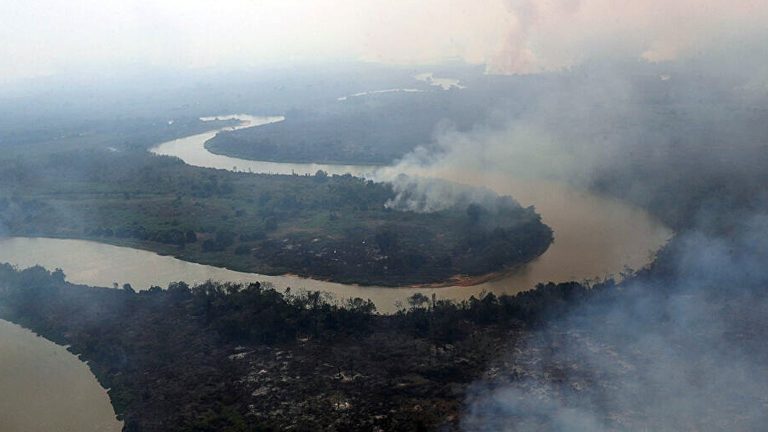 Las lluvias apagan los incendios en el Pantanal, el mayor humedal del planeta imagen-42