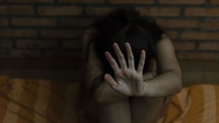 La Línea 137 recibió casi 23 mil llamadas por hechos de violencia sexual y familiar imagen-7