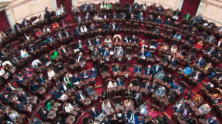 El 6 de diciembre tomarán juramento a los 130 diputados nacionales electos en octubre imagen-25