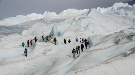 Día de los Parques Nacionales: se cumplen 120 años de la donación del Perito Moreno imagen-9
