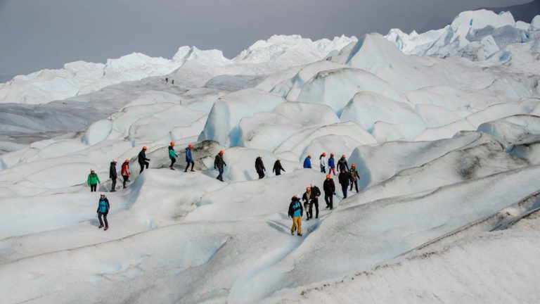 Día de los Parques Nacionales: se cumplen 120 años de la donación del Perito Moreno imagen-11