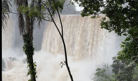 Cataratas en todo su esplendor; reabren el Parque Iguazú imagen-2