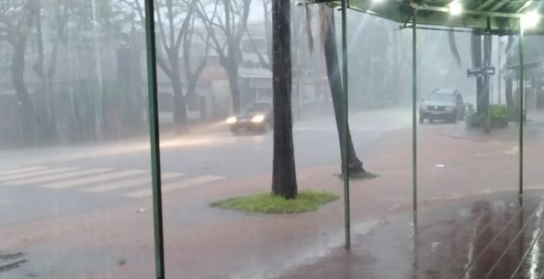 Fuerte tormenta de granizo y lluvia causó daños en Virasoro, San Carlos y Garabí imagen-47