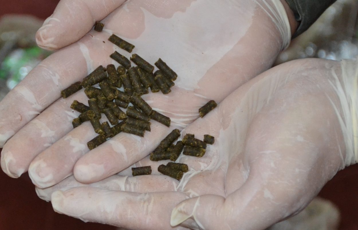 Descubren envío de rollos de tela con “pellets” de marihuana en su interior imagen-4