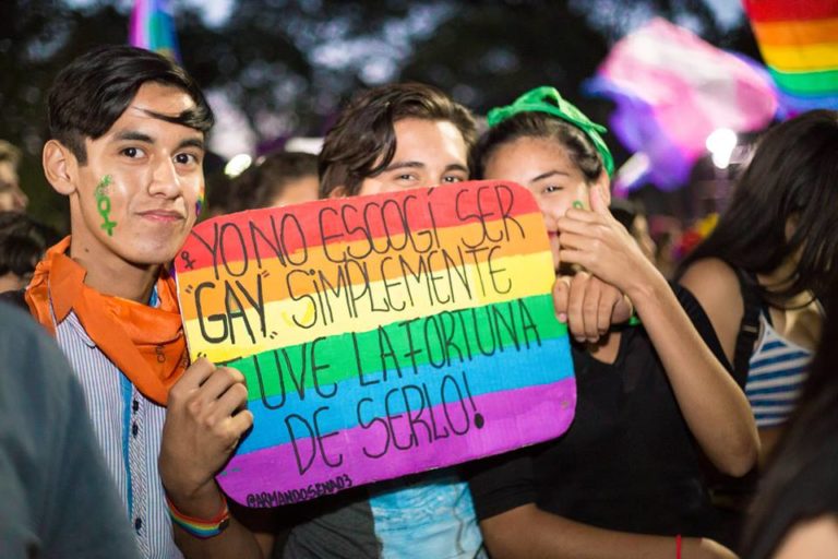 La histórica Marcha del Orgullo se celebrará este sábado en Posadas imagen-11