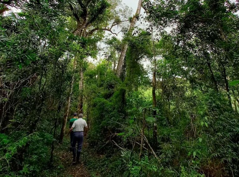 Registraron la décima Área Productora de Semillas de Especies Nativas en Misiones imagen-33