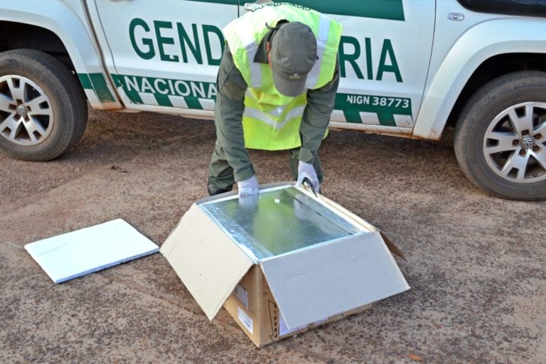 Hallan más de 11 kilos de marihuana ocultos en encomiendas imagen-14