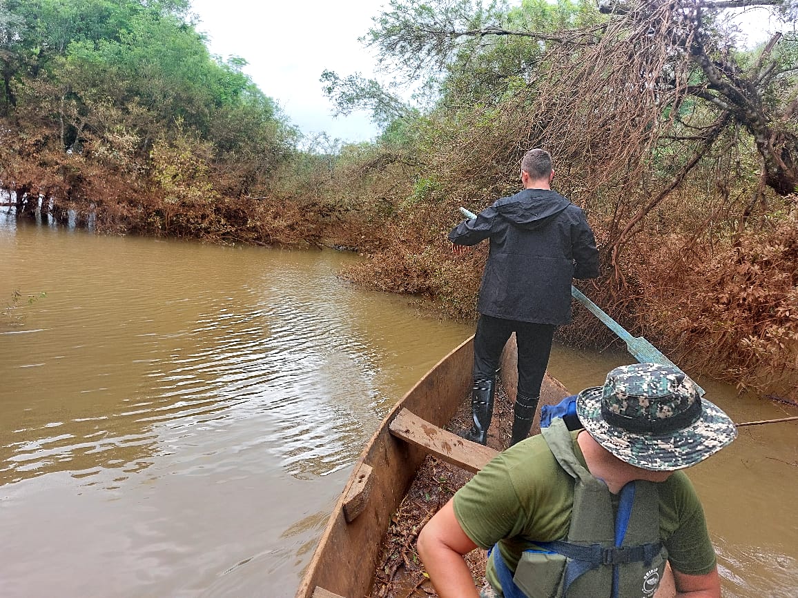 Panambí: continúan las tareas de búsqueda de Fabián Da Silva en el arroyo Chico Alférez imagen-10