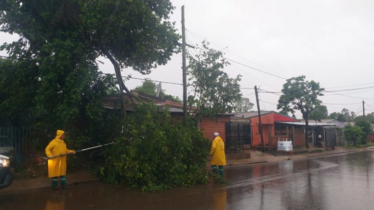 Frente a las lluvias, se despliegan los equipos municipales de trabajo imagen-23