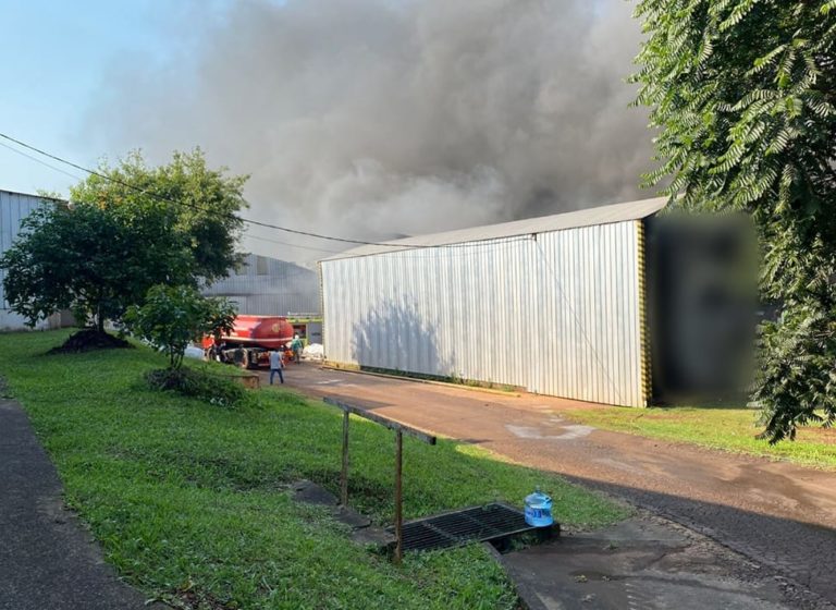 Oberá: cinco dotaciones de Bomberos sofocaron el incendio de un establecimiento yerbatero en Bella Vista imagen-35