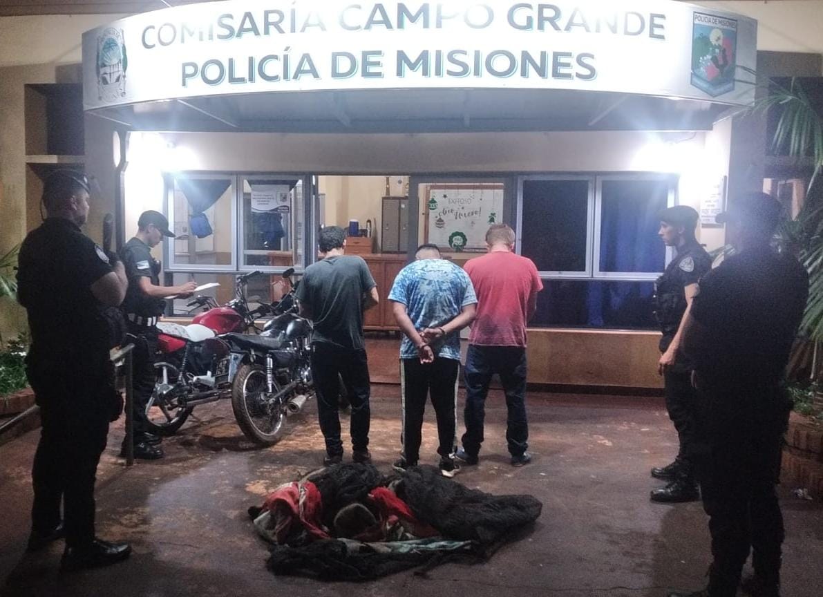 Intervención policial en Campo Grande desbarató una red clandestina de riñas de gallos imagen-1