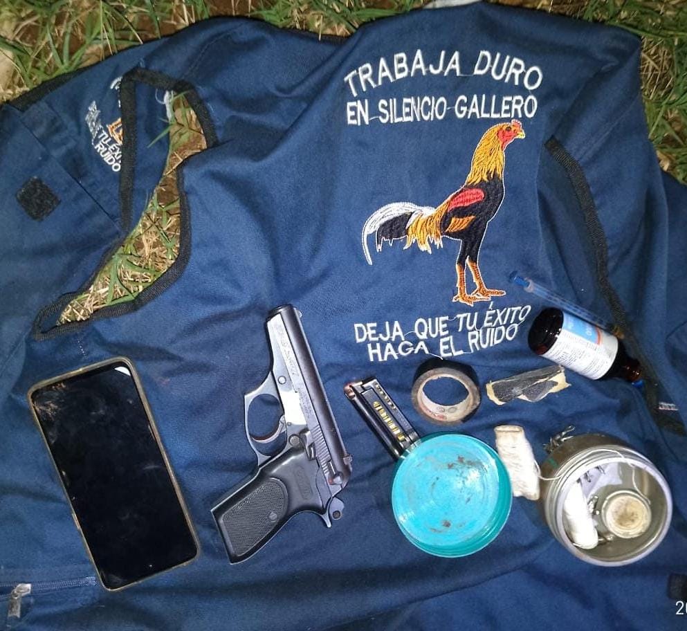 Intervención policial en Campo Grande desbarató una red clandestina de riñas de gallos imagen-2