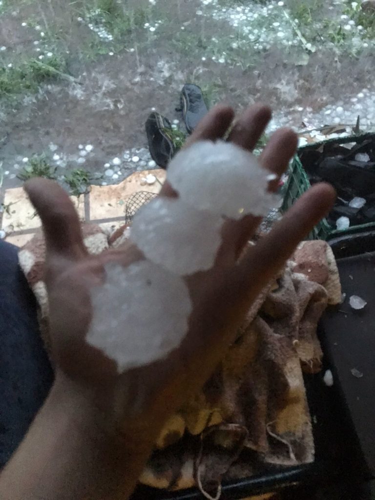 Temporal: feroz granizada azotó Posadas y provocó cuantiosos daños, convocaron al Comité de Emergencia para ajustar programa de asistencia a afectados imagen-28