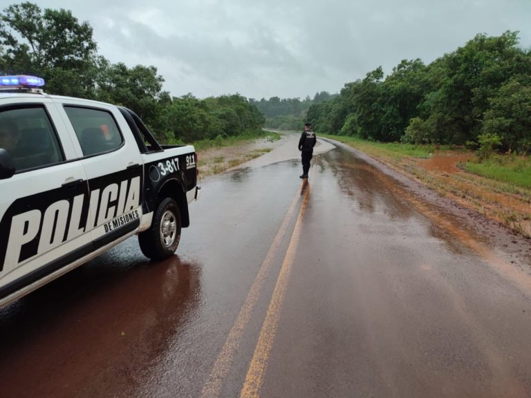 Se Interrumpió el tránsito en Ruta Provincial Nº 2 a la altura del Arroyo El Doradito, Colonia Aurora imagen-25