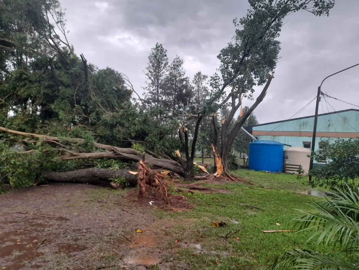 Las fuertes tormentas e intensos vientos provocaron la voladura del techo de la Escuela de la Familia Agraria del Kilómetro 40 de Alem  imagen-10