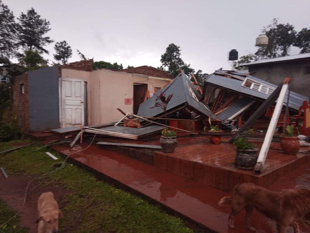 Más de 50 familias, 3 comercios y 2 industrias de Leandro N. Alem fueron afectadas por el temporal   imagen-1
