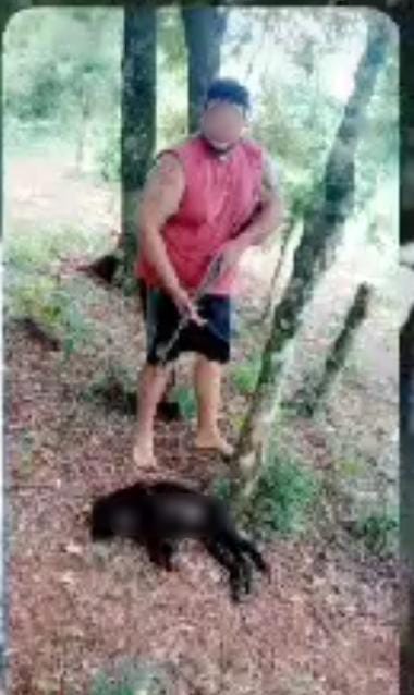 Detuvieron al hombre que mató a un mono carayá en Wanda imagen-2