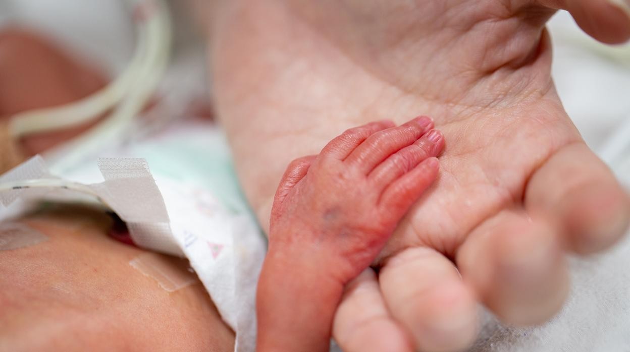 "La vinculación y el contacto piel a piel de los padres con su bebe prematuro es fundamental para su desarrollo" imagen-2