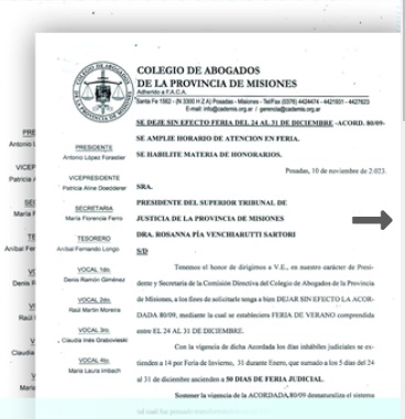 Colegio de Abogados pidió se deje sin efecto feria judicial del 24 al 31 de diciembre imagen-6