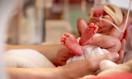 "La vinculación y el contacto piel a piel de los padres con su bebe prematuro es fundamental para su desarrollo" imagen-8