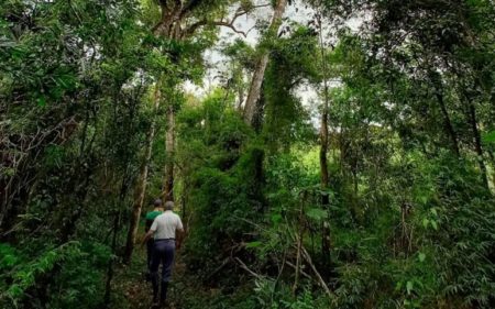 Arce: "En Misiones la cuestión climática es central y se necesita la ayuda nacional para la preservación del territorio ambiental" imagen-8