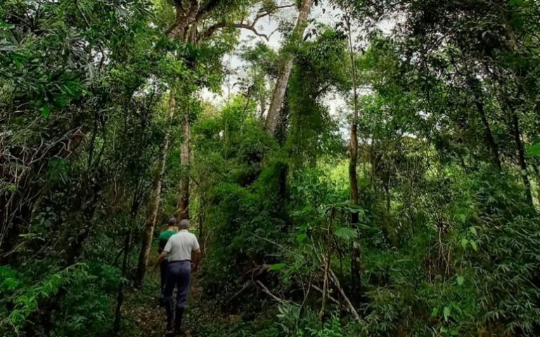 Arce: "En Misiones la cuestión climática es central y se necesita la ayuda nacional para la preservación del territorio ambiental" imagen-34