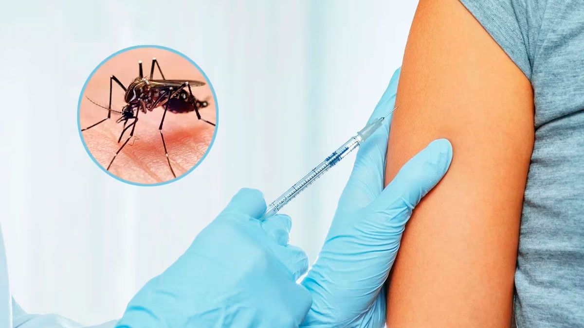 Vacuna contra el dengue: "Se trata de una vacuna diseñada a virus atenuado, por lo cual no se puede utilizar en toda la población" señalan imagen-1