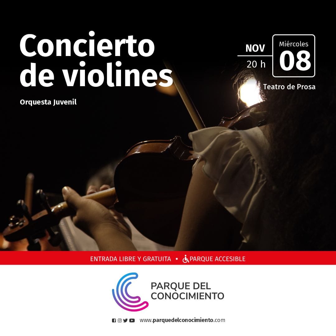 Los violines de la Orquesta Juvenil se presentarán este miércoles en el Teatro de Prosa imagen-2