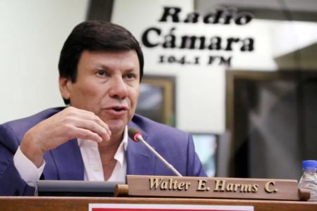 Paraguay: El diputado Walter Harms falleció en un accidente aéreo en San Pedro imagen-7