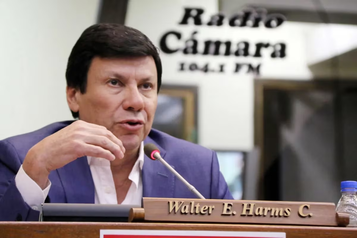 El diputado Walter Harms falleció en un accidente aéreo en San Pedro imagen-14