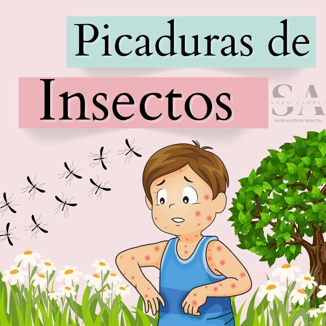 Recomendaciones para prevenir las picaduras de insectos durante el verano  imagen-1