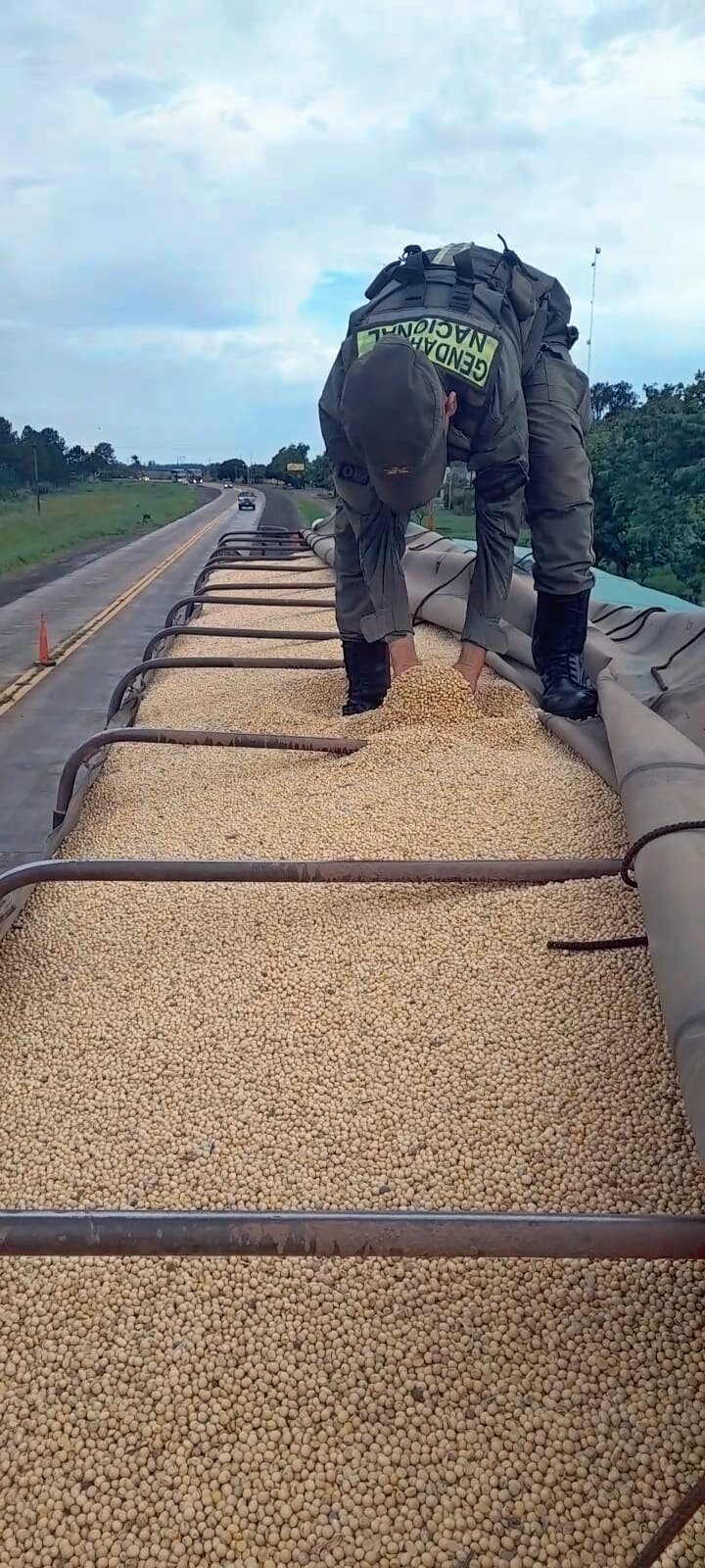 Secuestran 507 toneladas de soja a granel en distintos procedimientos imagen-4