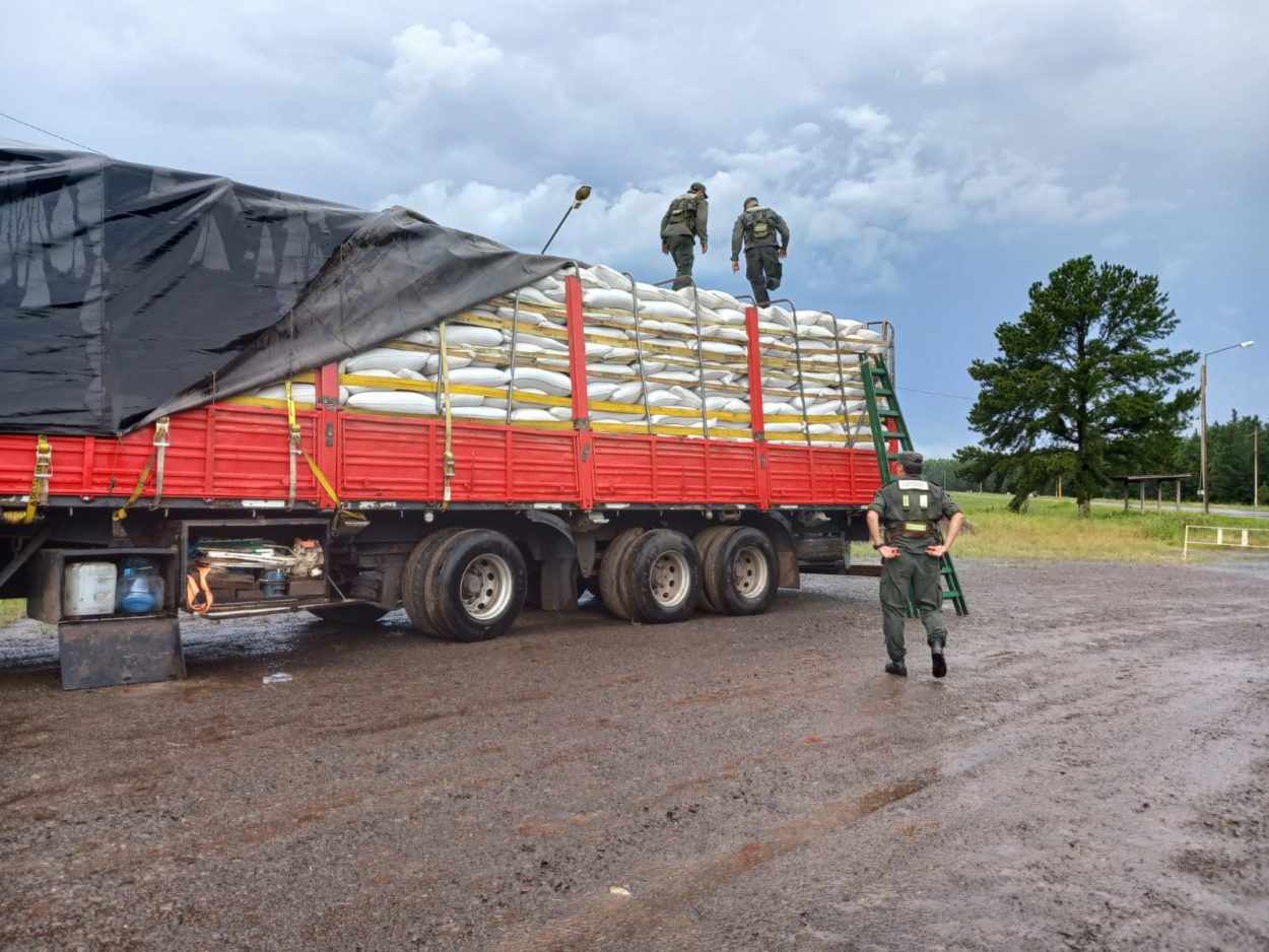 Secuestran 507 toneladas de soja a granel en distintos procedimientos imagen-15