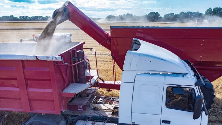 Impulsada por "El Niño", la producción agrícola 2023/24 crecería cerca del 40% imagen-38