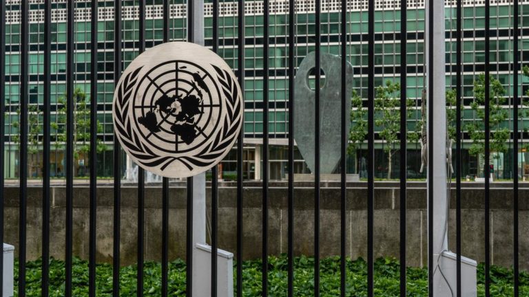 La ONU felicitó a Argentina por cumplir un acuerdo con una víctima de violencia de género imagen-43