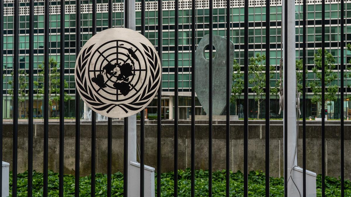 La ONU felicitó a Argentina por cumplir un acuerdo con una víctima de violencia de género imagen-9