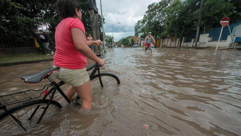 Advierten que eventos climáticos extremos afectarían la producción del agro en Sudamérica imagen-12