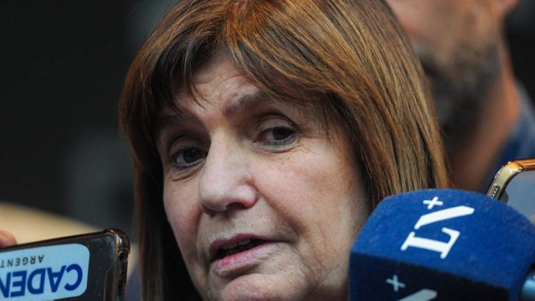 Confirmado: Patricia Bullrich será la ministra de Seguridad de Javier Milei imagen-31