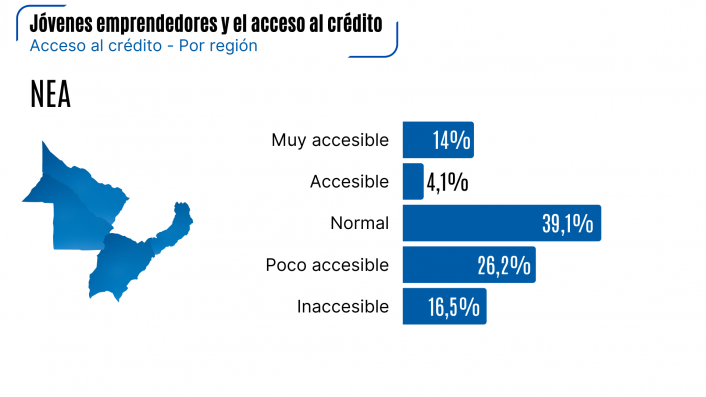 Seis de cada diez jóvenes empresarios no tienen acceso al crédito productivo imagen-16